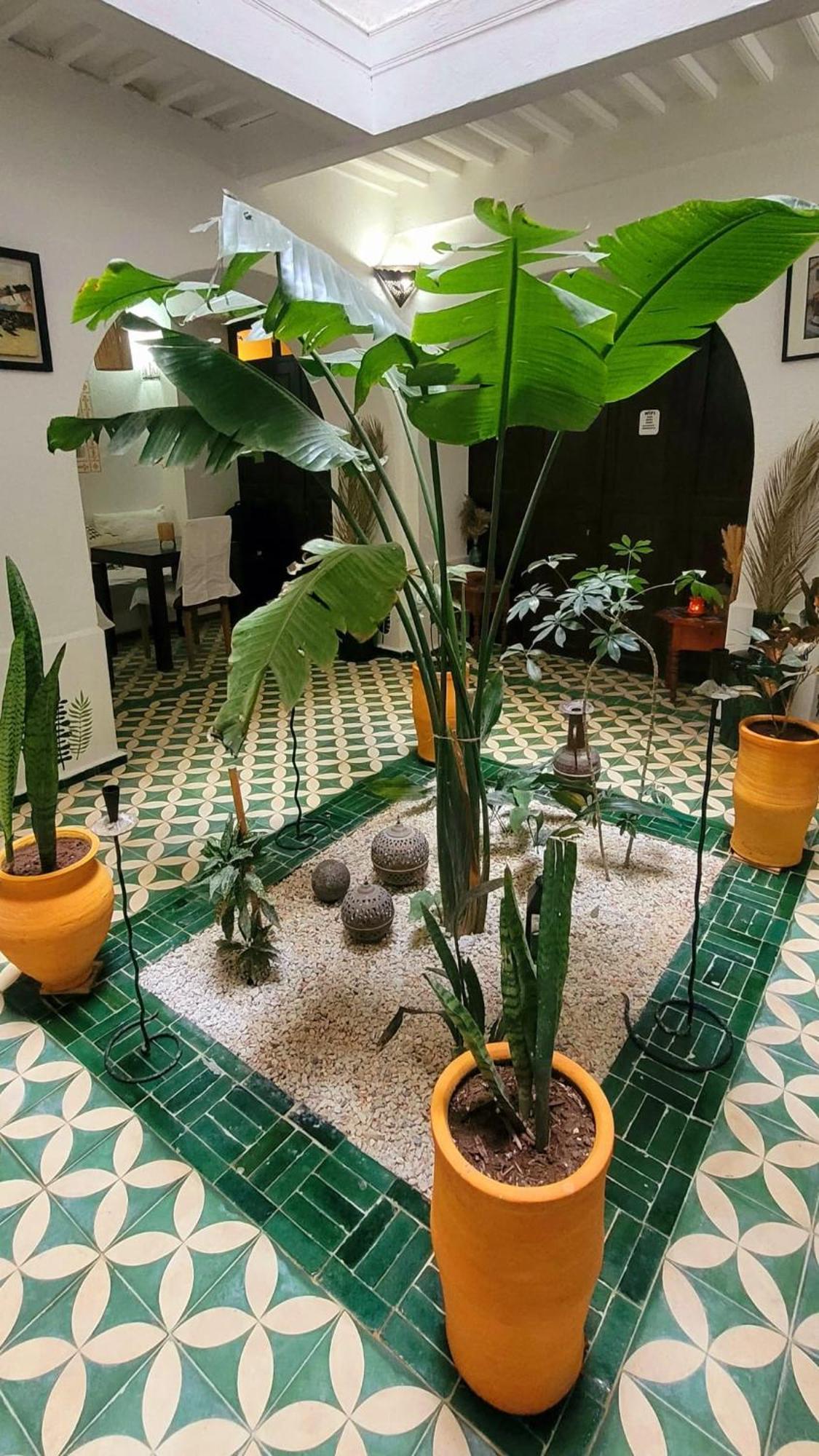 Riad Ocean Medina Εσαουίρα Εξωτερικό φωτογραφία