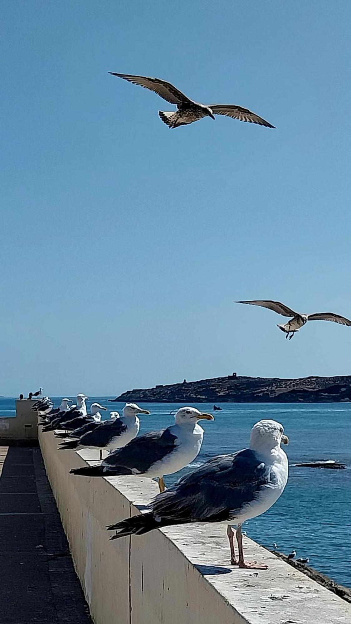 Riad Ocean Medina Εσαουίρα Εξωτερικό φωτογραφία